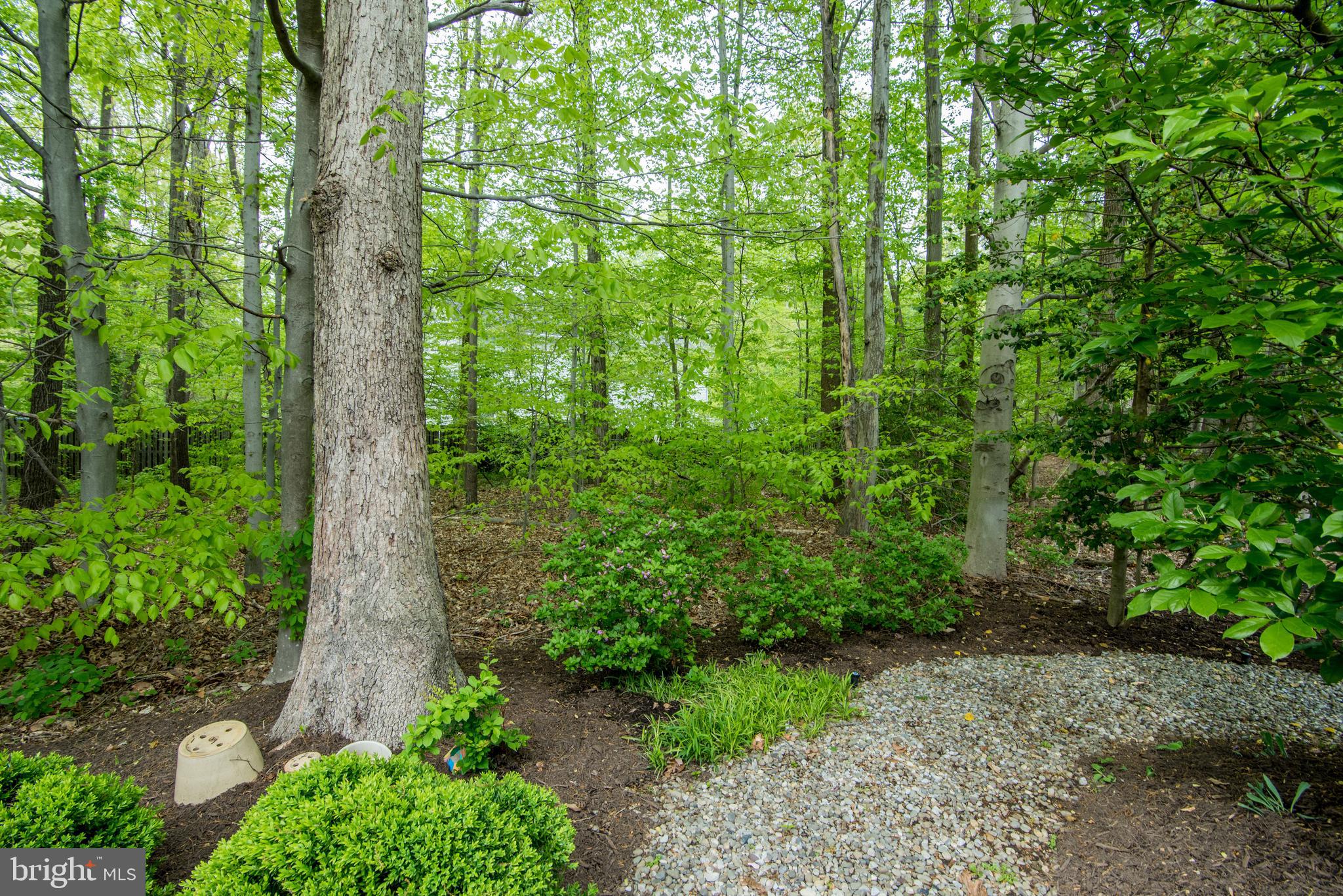 7428 Spring Summit Road Springfield, VA 22150 - Photo 43 of 70 Yes, this can be your own private oasis