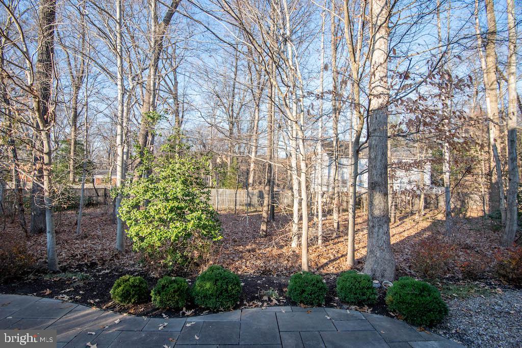 7428 Spring Summit Road Springfield, VA 22150 - Photo 44 of 70
