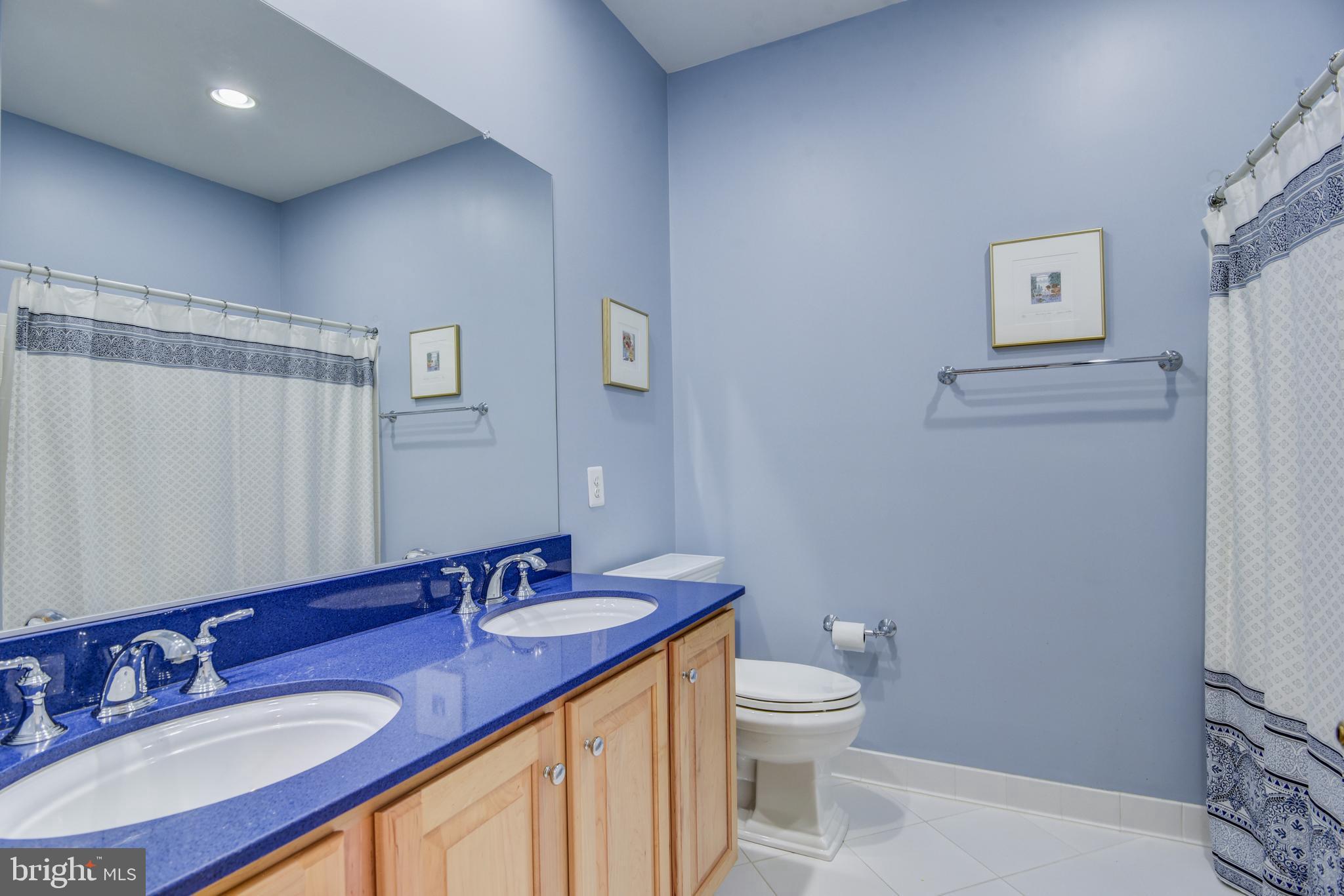 7428 Spring Summit Road Springfield, VA 22150 - Photo 53 of 70 Upgraded tile, faucets & solid surface counters