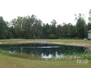3525 West Erie Road Temperance, MI 48182 - Photo 5 of 20 Pond