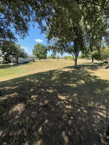 a view of yard with trees