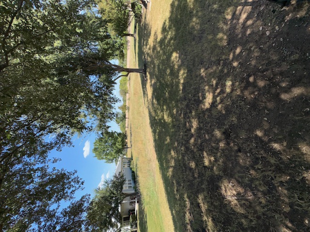 330 Portsmouth Drive Georgetown, TX 78633 - Photo 6 of 16 a view of yard with trees