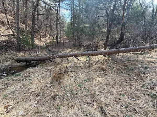 a view of outdoor space and tree