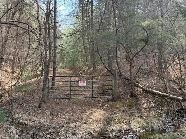 $99,900 | 21-acres Buck Hill Lane, Sugar Grove, WV 26815