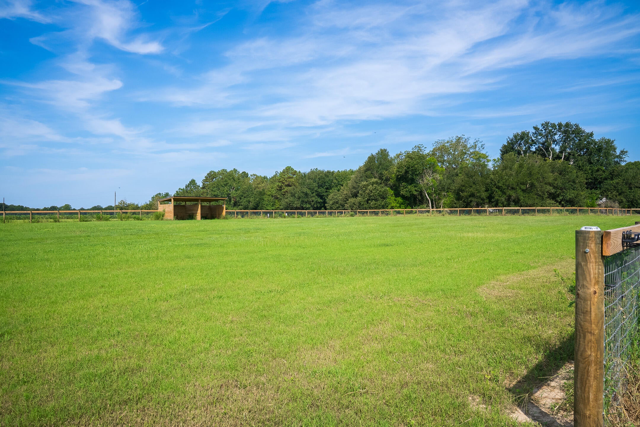 2122 New Holland Road Wagener, SC 29164 - Photo 41 of 48 Gallery Image 41