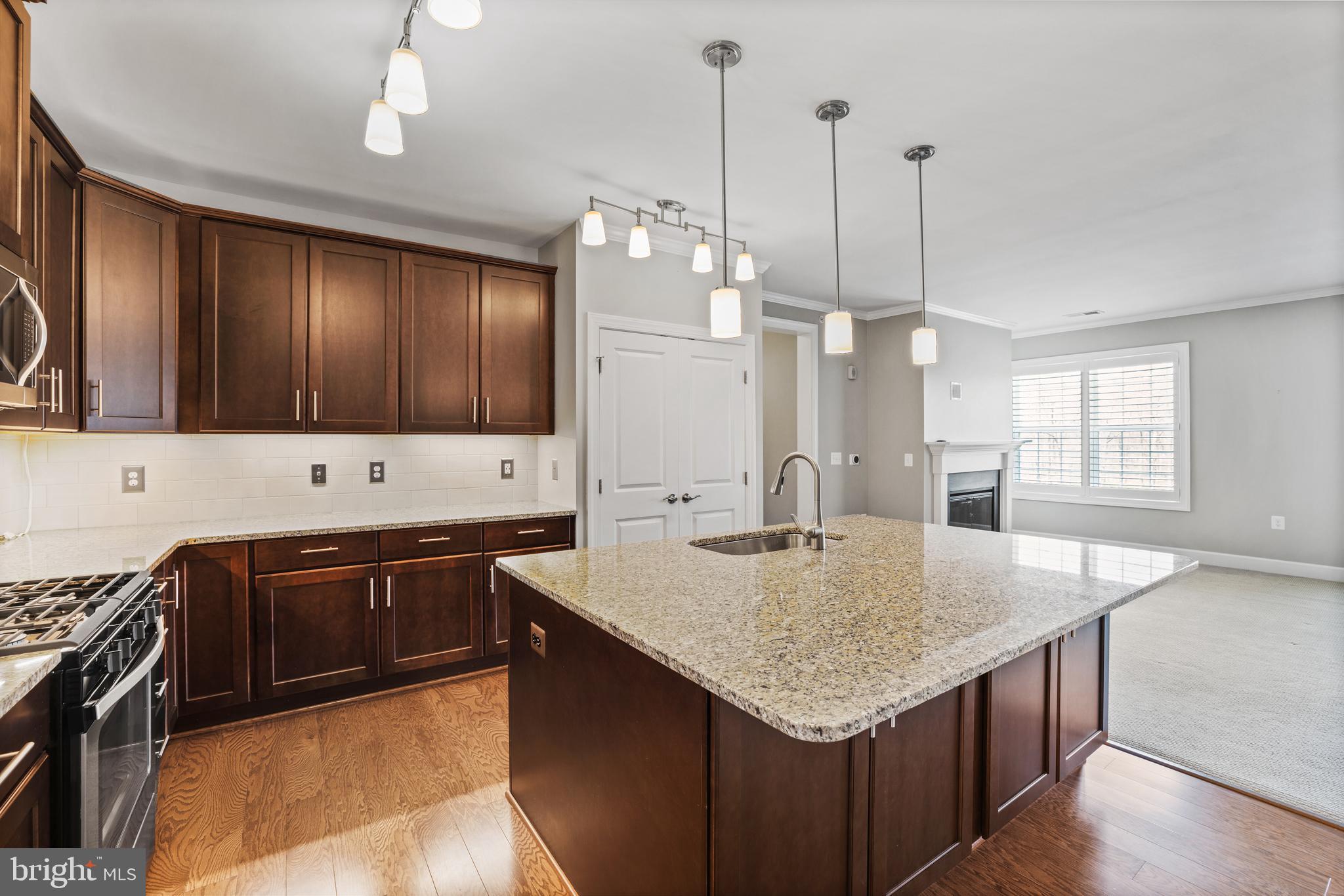 10530 Resort Road, Unit 304 Ellicott City, MD 21042 - Photo 14 of 41 Gallery Image 14