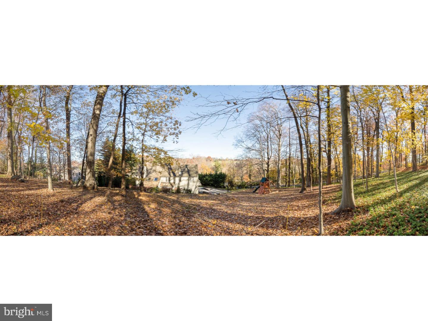 206 Ravenscliff Road Wayne, PA 19087 - Photo 24 of 25 Back Yard