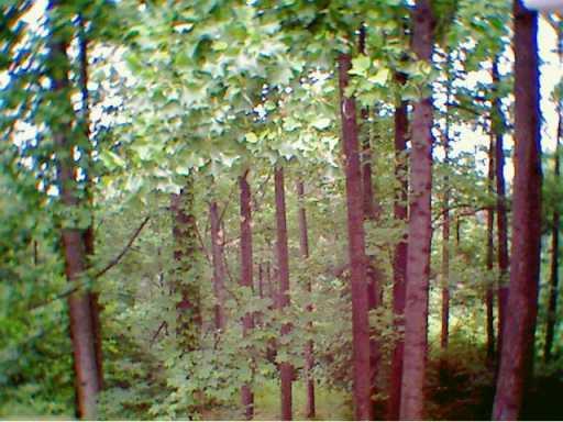 328 Shivler Road Hookstown, PA 15050 - Photo 7 of 8 Gallery Image 7