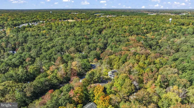 a view of a green field with lots of bushes