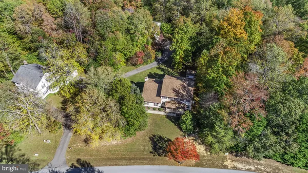 a view of a yard with plants