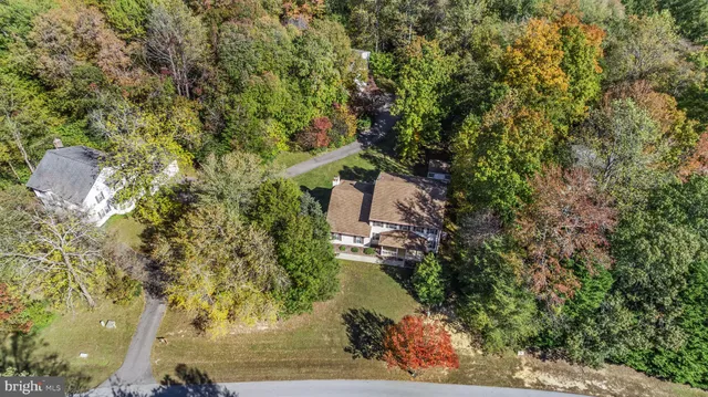a view of a yard with plants