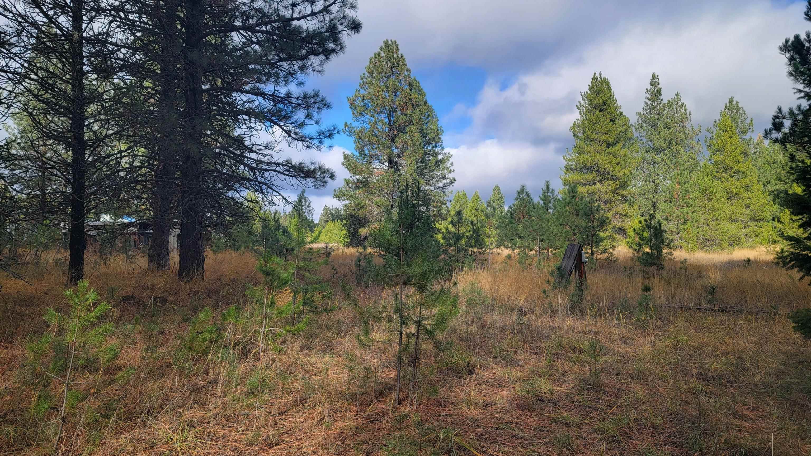 652 Jorgens Road Newport, WA 99156 - Photo 1 of 26