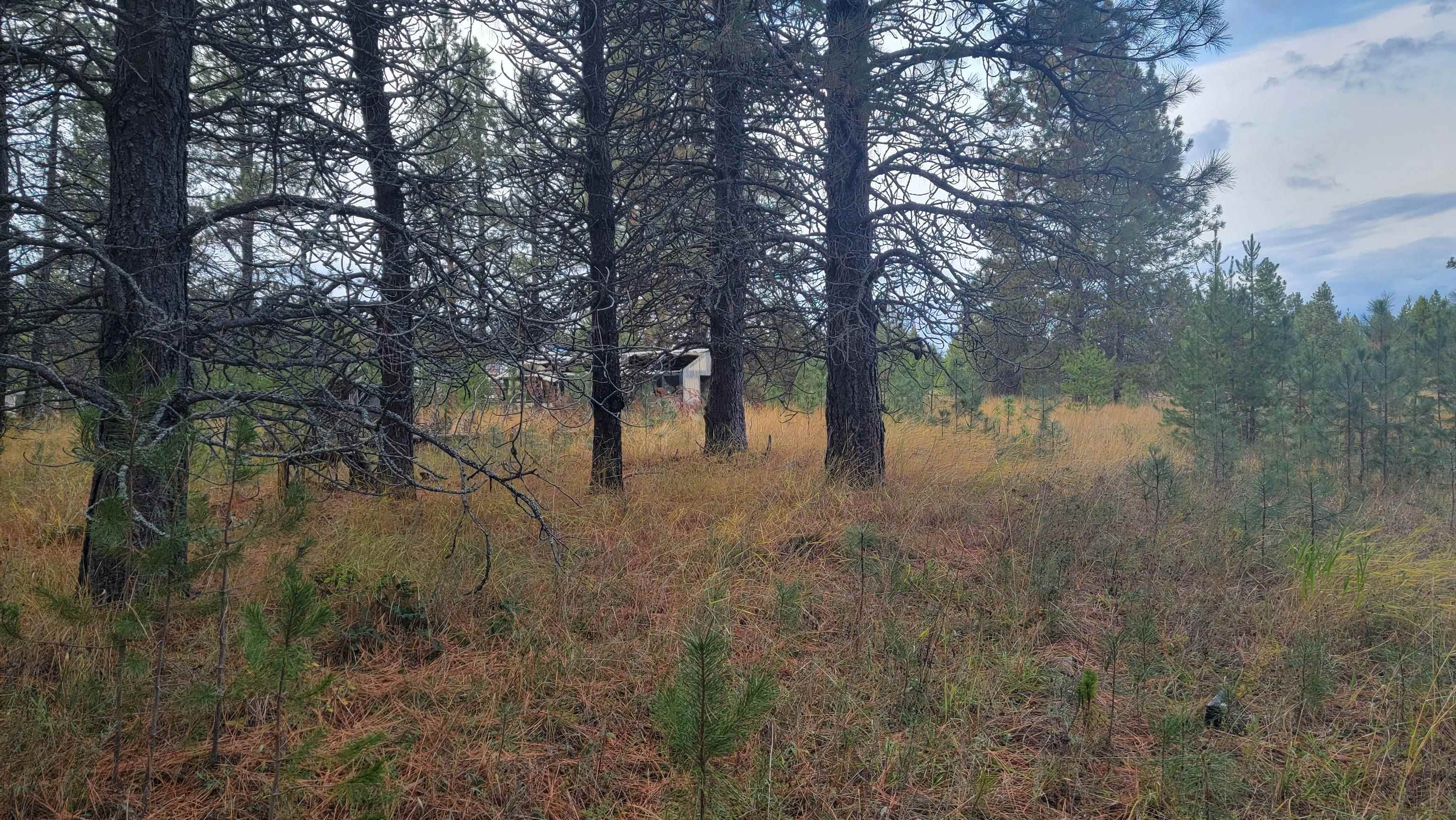 652 Jorgens Road Newport, WA 99156 - Photo 11 of 26