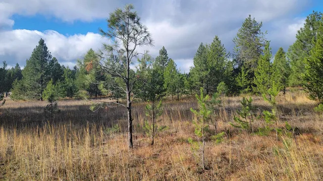 $150,000 | 652 Jorgens Road, Newport, WA 99156