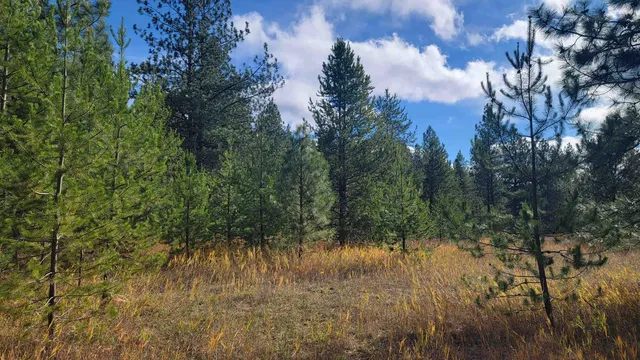 $150,000 | 652 Jorgens Road, Newport, WA 99156