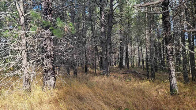 $150,000 | 652 Jorgens Road, Newport, WA 99156