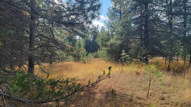 $150,000 | 652 Jorgens Road, Newport, WA 99156