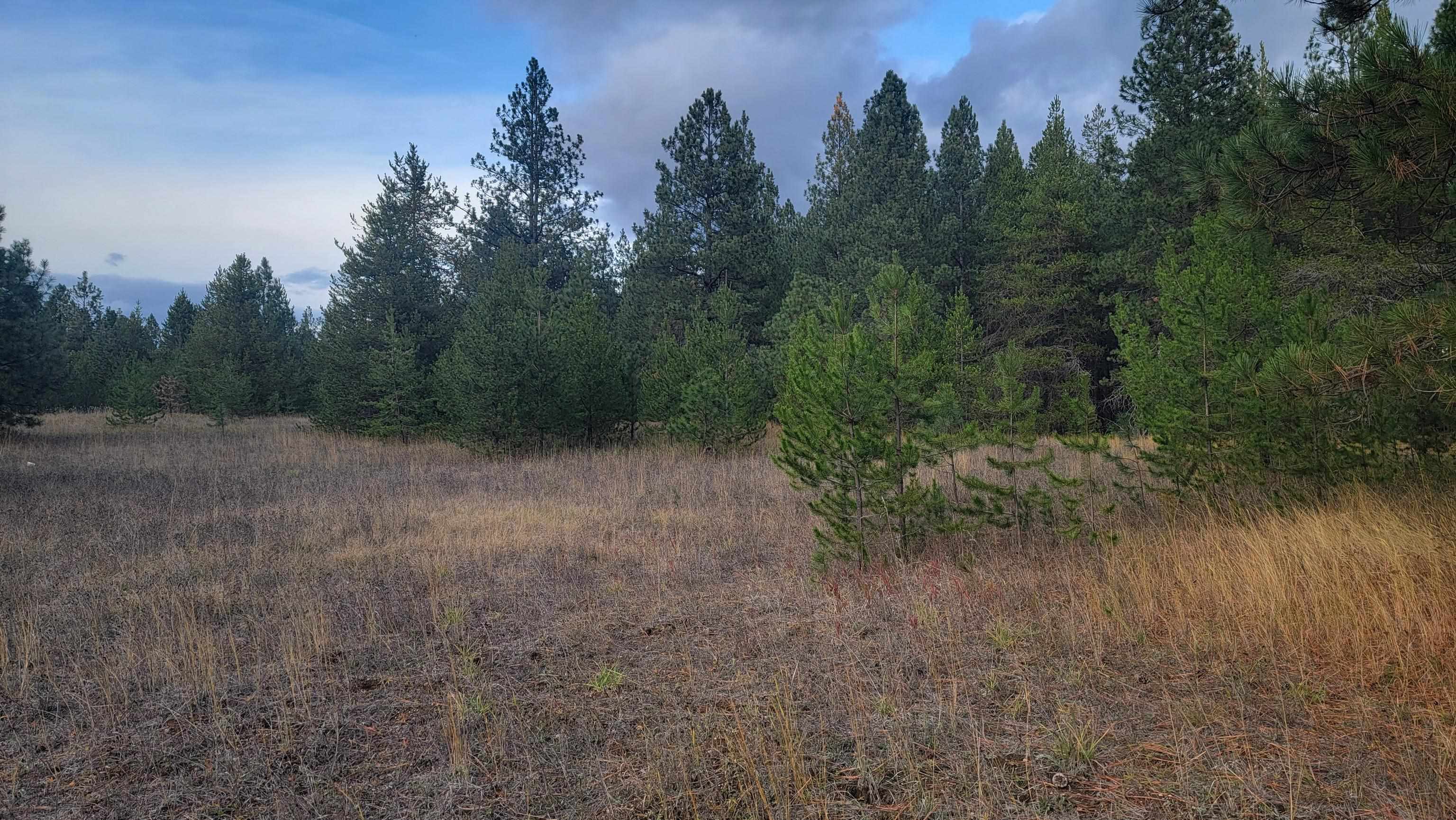 652 Jorgens Road Newport, WA 99156 - Photo 18 of 26