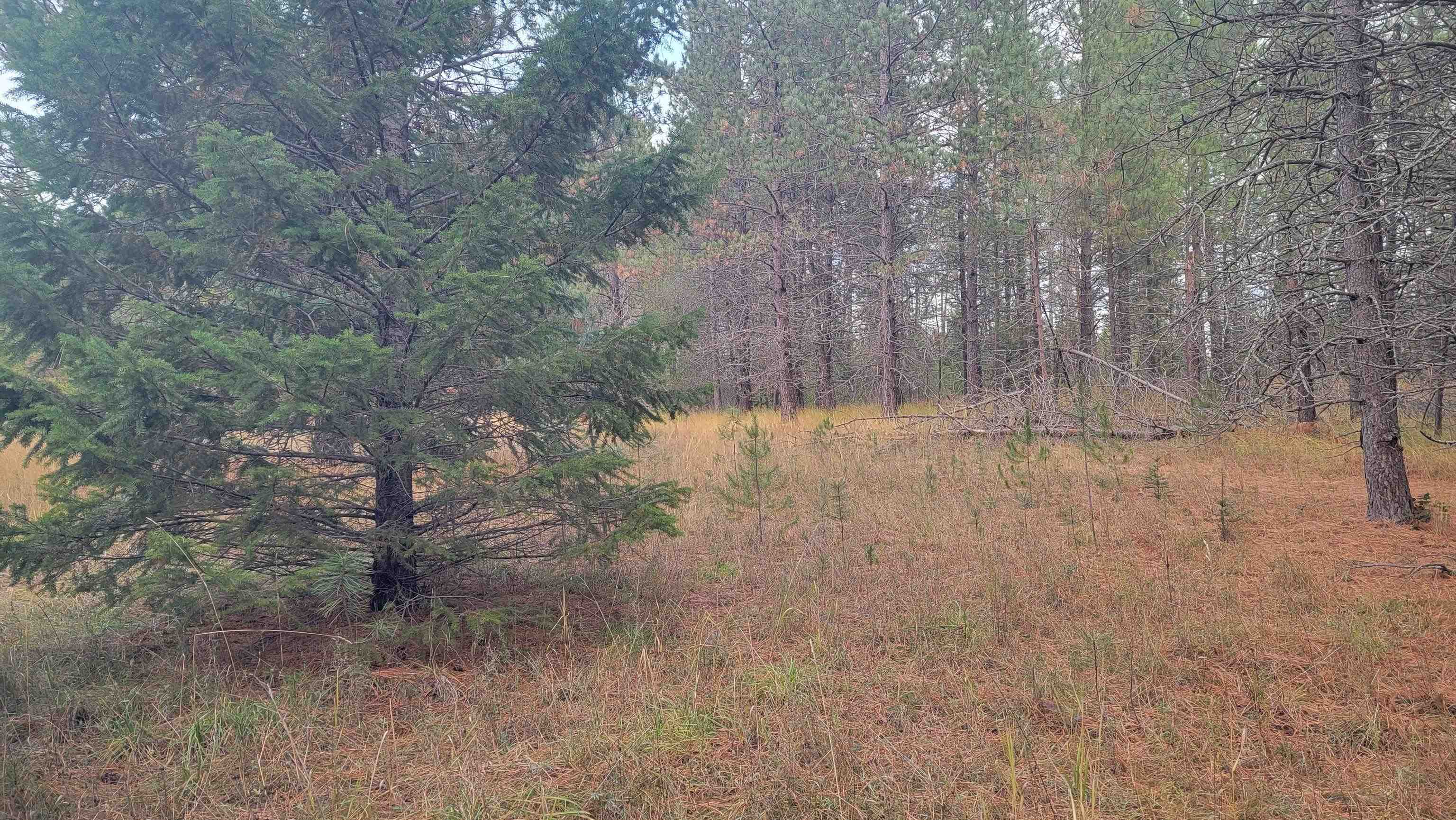 652 Jorgens Road Newport, WA 99156 - Photo 19 of 26