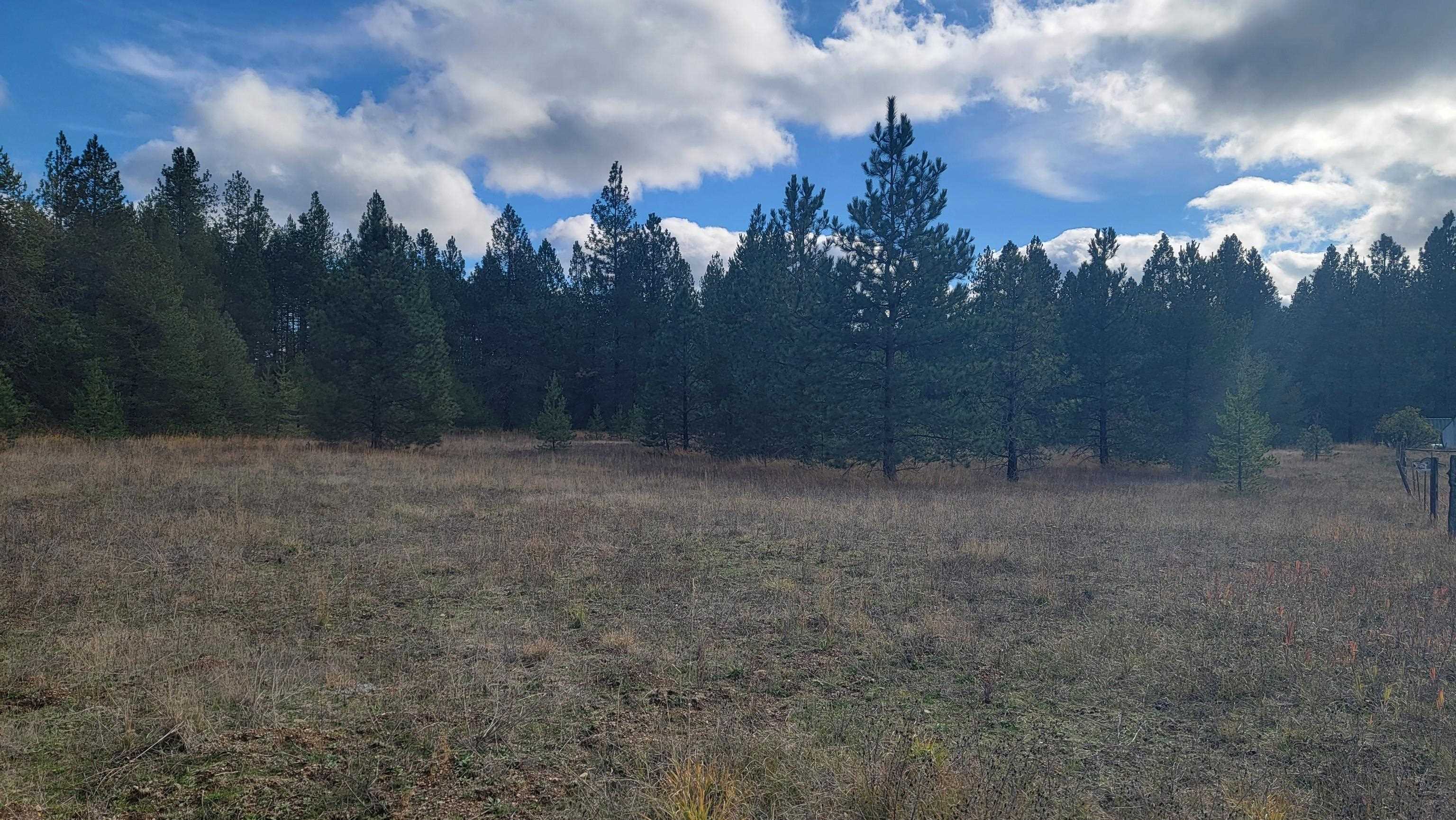 652 Jorgens Road Newport, WA 99156 - Photo 22 of 26