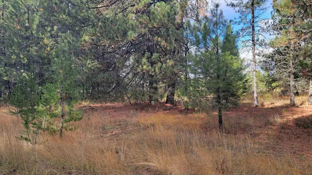 $150,000 | 652 Jorgens Road, Newport, WA 99156