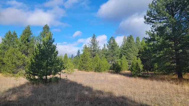 $150,000 | 652 Jorgens Road, Newport, WA 99156