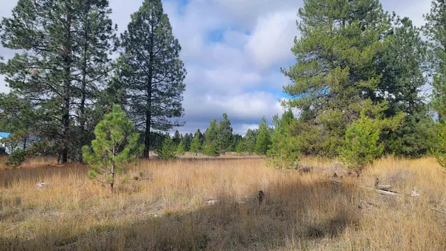 $150,000 | 652 Jorgens Road, Newport, WA 99156