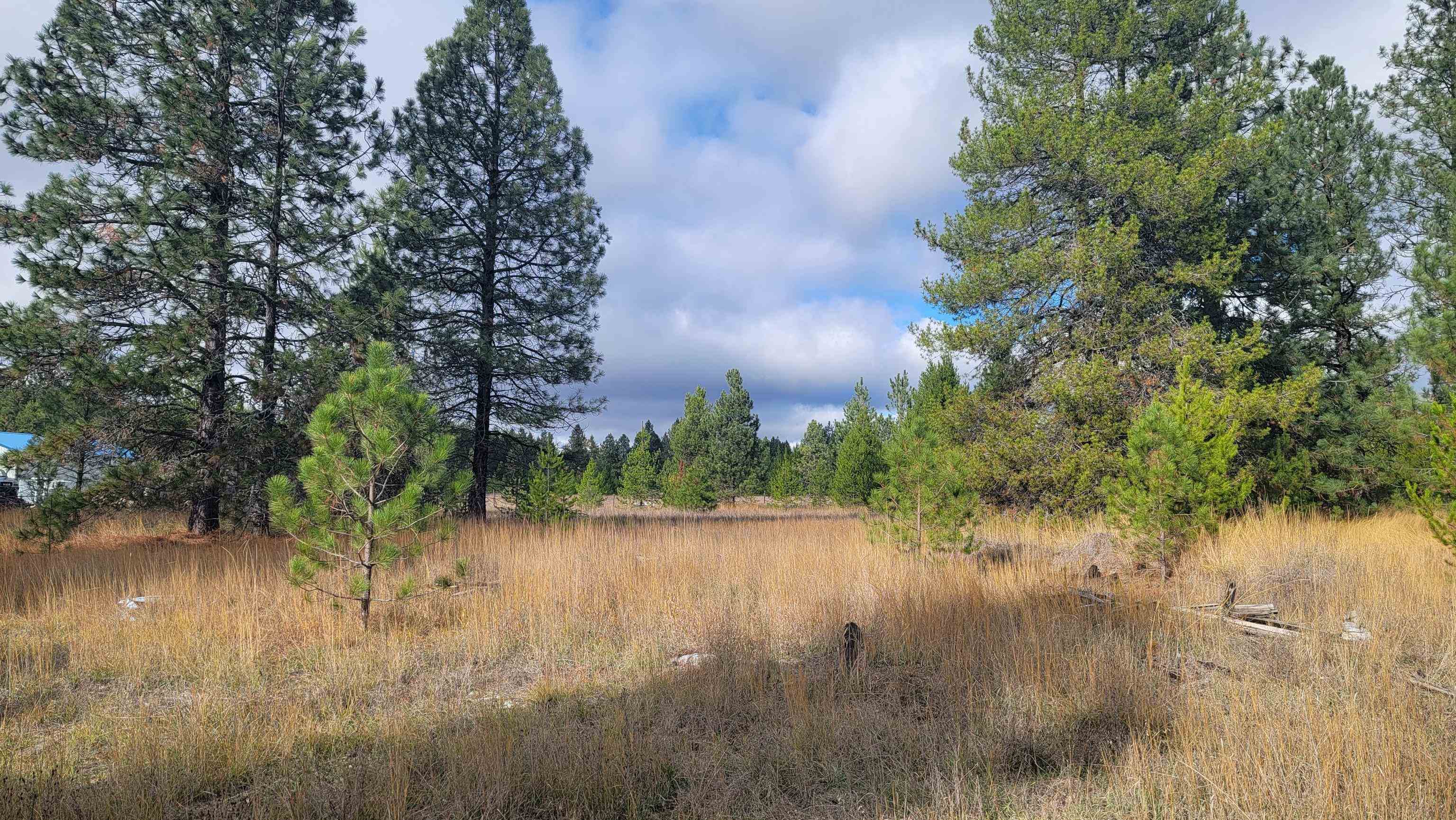 652 Jorgens Road Newport, WA 99156 - Photo 5 of 26