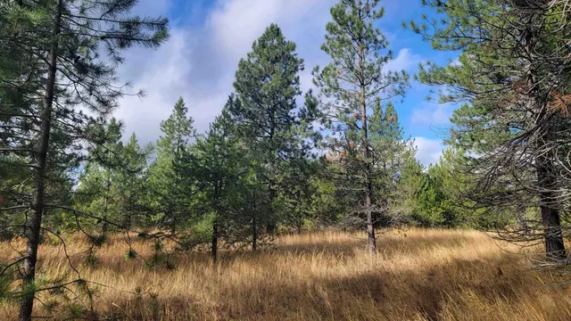 $150,000 | 652 Jorgens Road, Newport, WA 99156