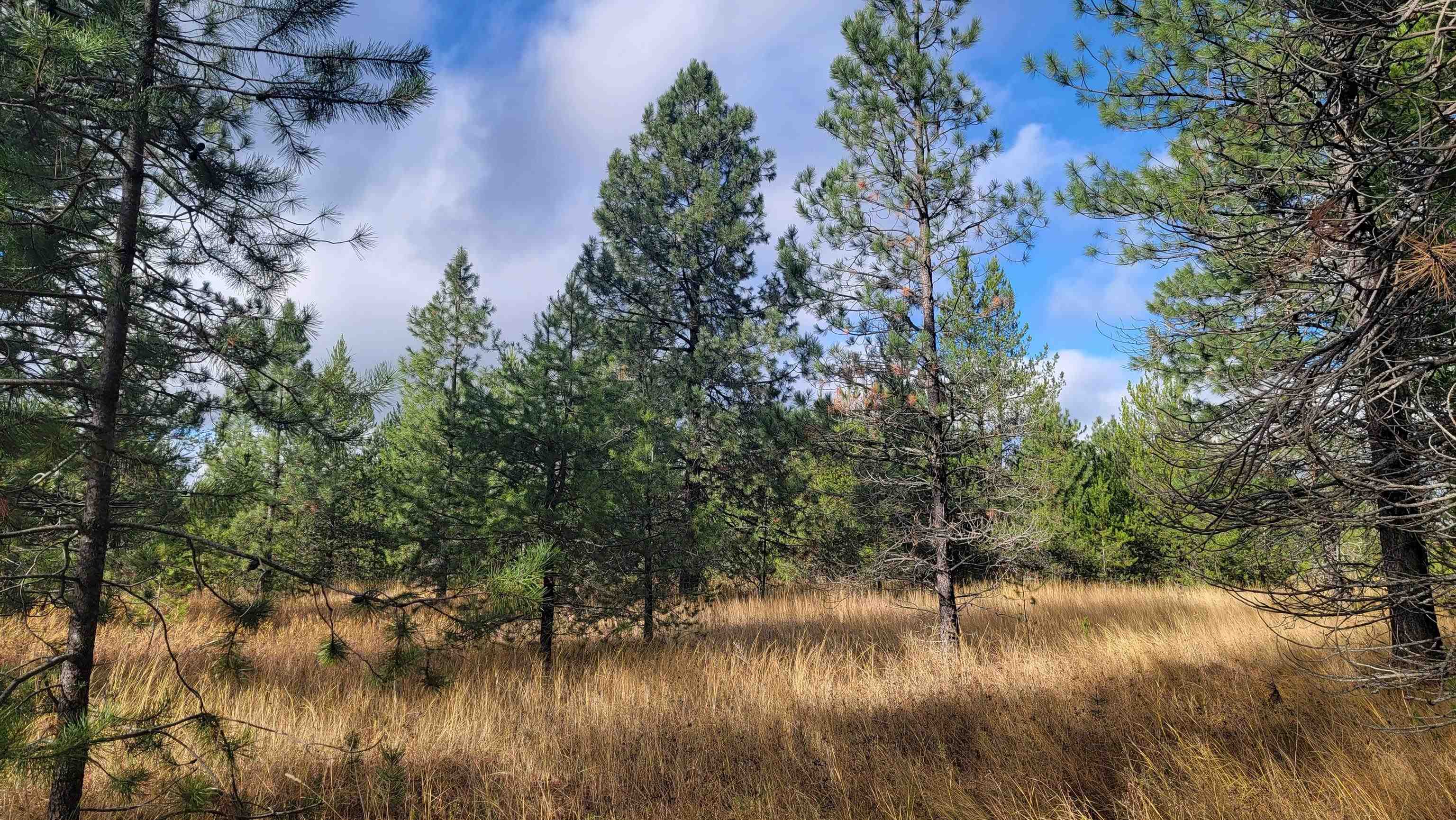 652 Jorgens Road Newport, WA 99156 - Photo 7 of 26