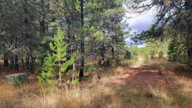 $150,000 | 652 Jorgens Road, Newport, WA 99156