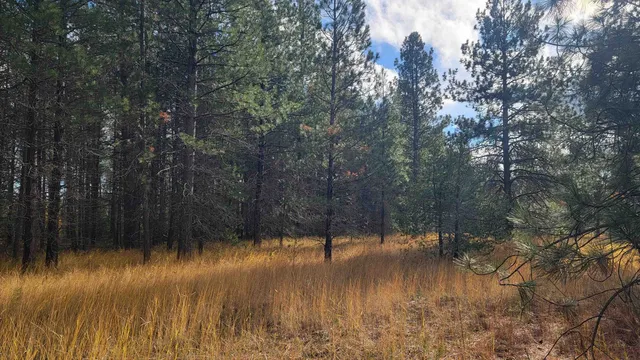 $150,000 | 652 Jorgens Road, Newport, WA 99156