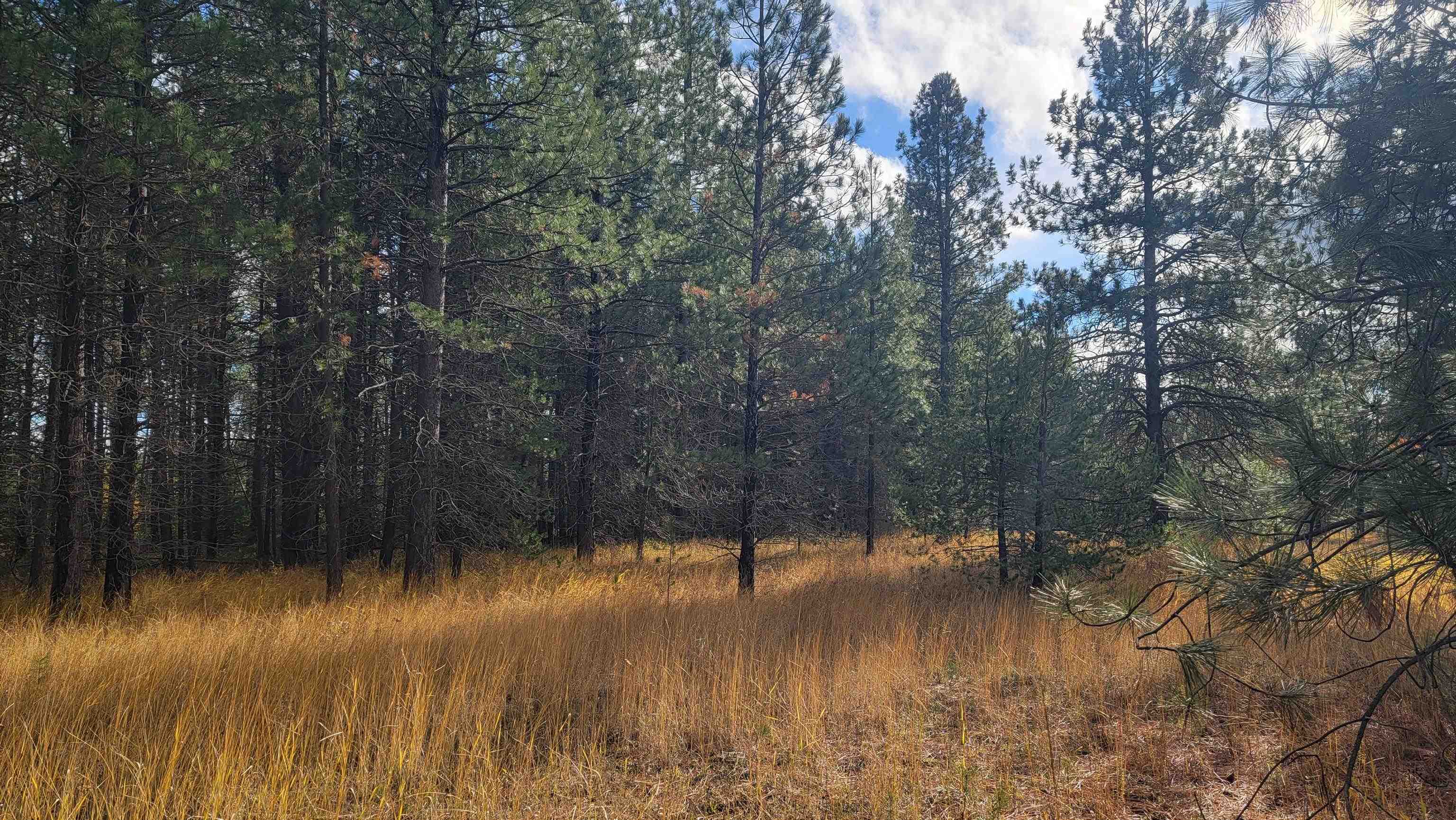 652 Jorgens Road Newport, WA 99156 - Photo 10 of 26