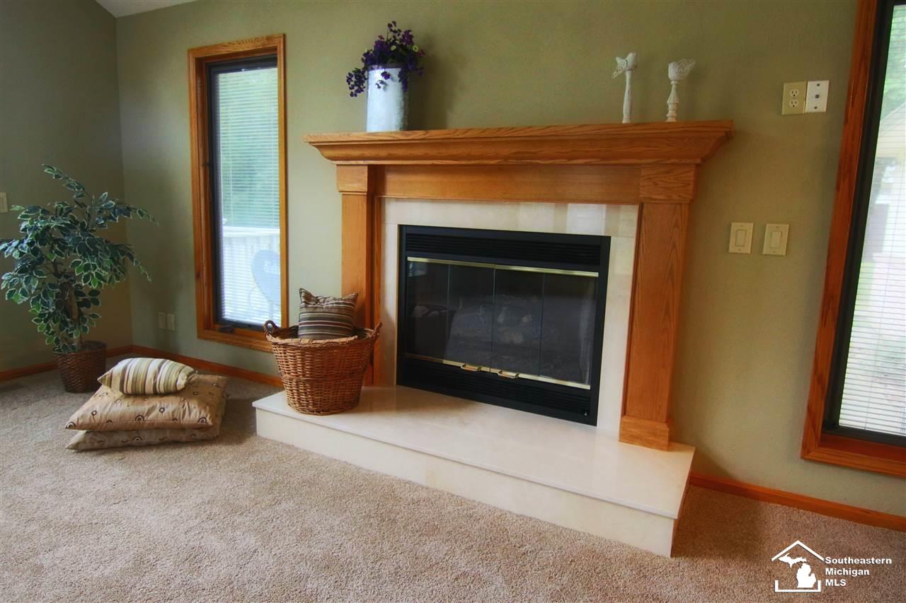 2648 Consear Road Lambertville, MI 48144 - Photo 21 of 42 Gas Fireplace