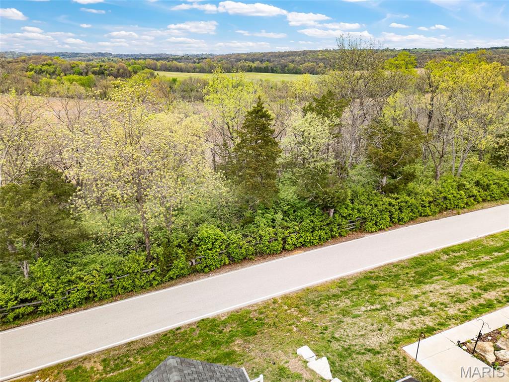 1007 Hawk Ridge Drive Union, MO 63084 - Photo 25 of 36