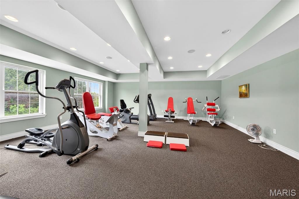 1007 Hawk Ridge Drive Union, MO 63084 - Photo 34 of 36