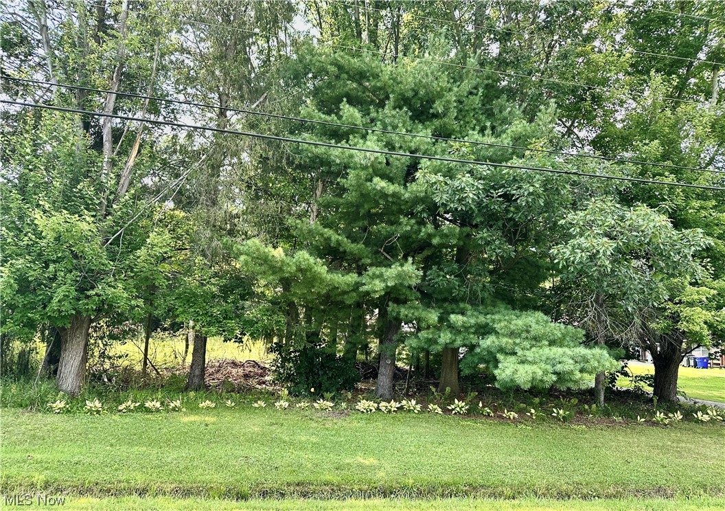 1009 Sandy Lake Road Kent, OH 44240 - Photo 5 of 35 Street view