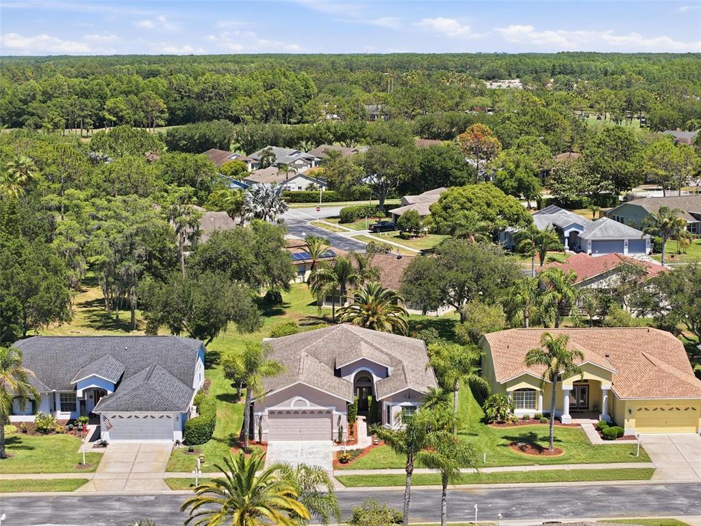 1430 Canberley Court Trinity, FL 34655 - Photo 46 of 66