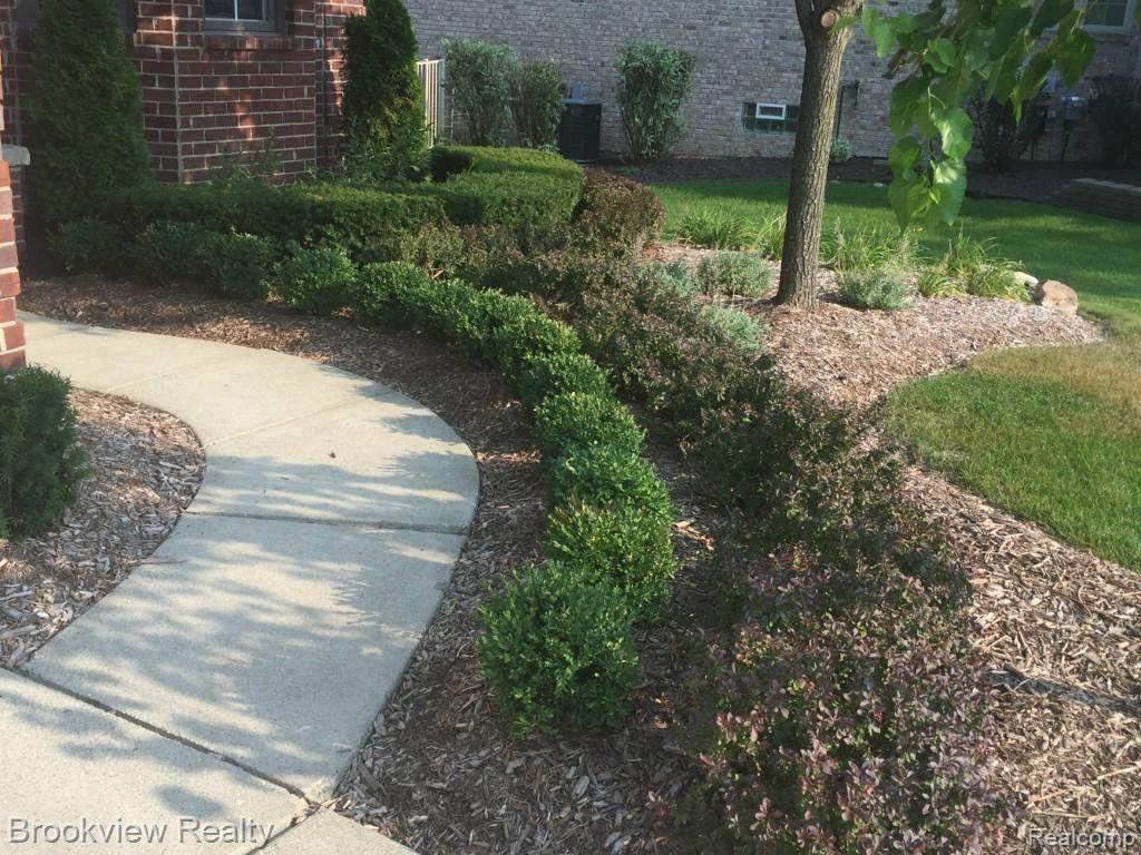 2007 Peterwood Rochester, MI 48307 - Photo 52 of 56 IMG_5362.jpg