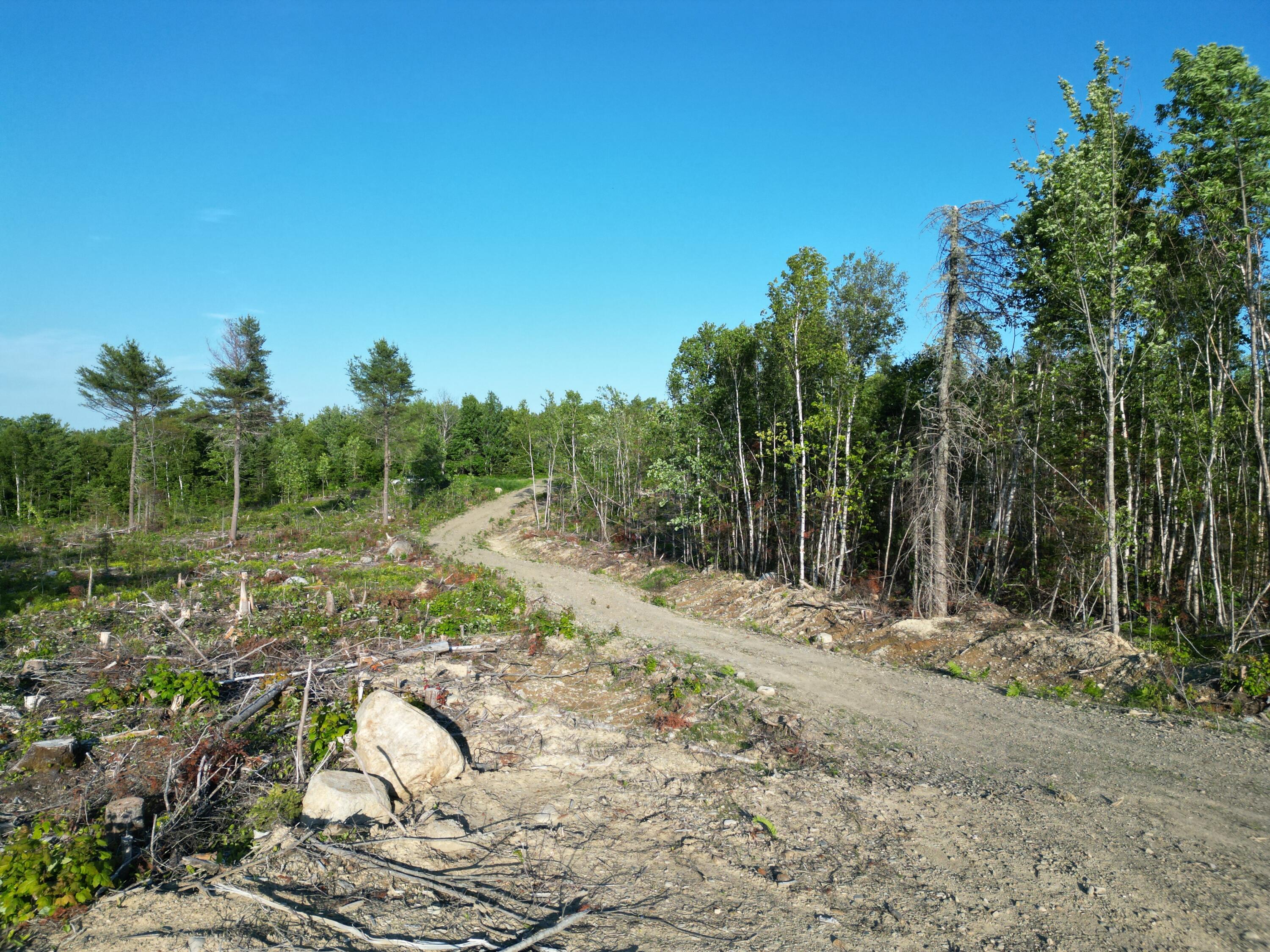 Lot 2 Sheepskin Road Carroll Plt, ME 04487 - Photo 12 of 15 DJI_0955