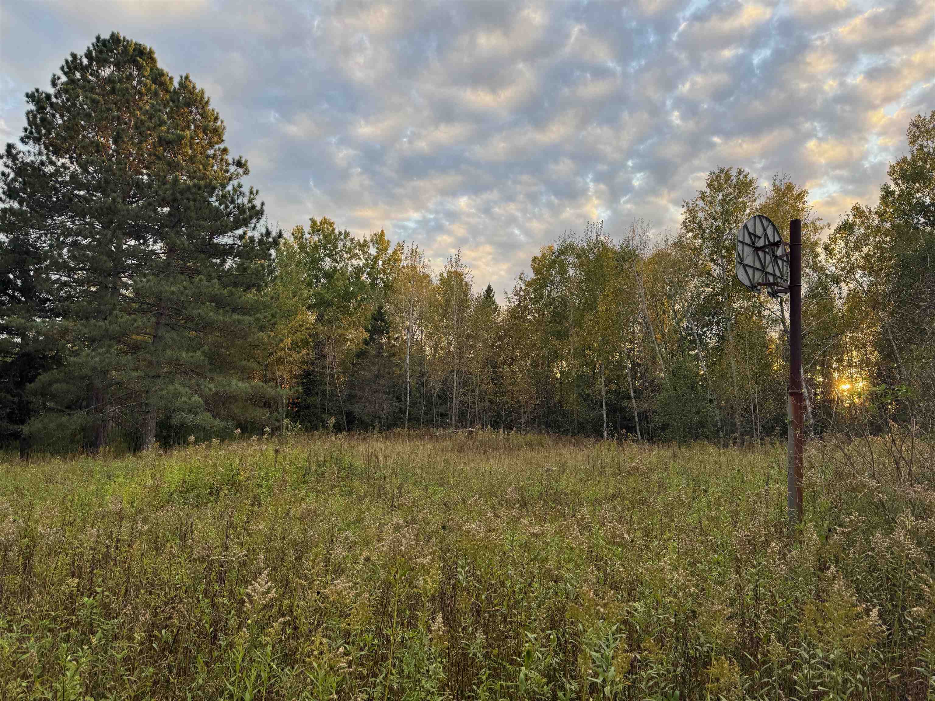 7469 East County Rd B South Range, WI 54874 - Photo 13 of 24 View of tree filled area