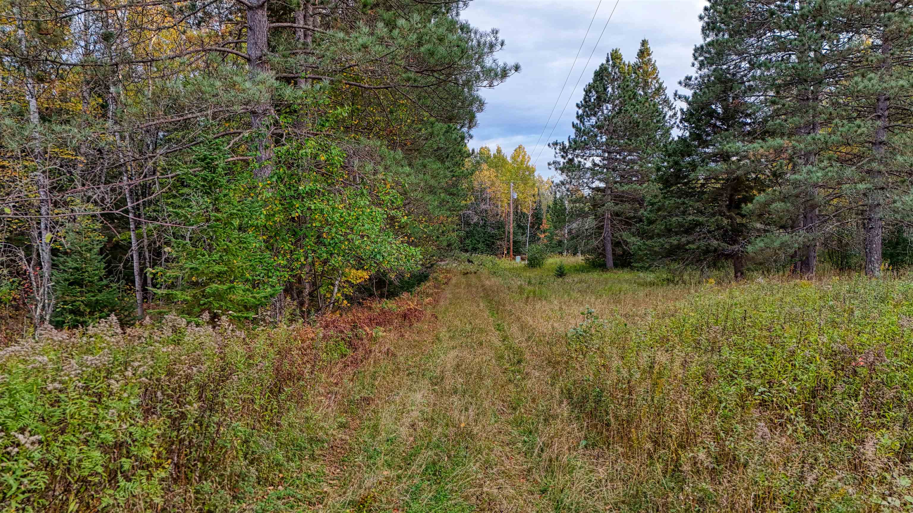 7469 East County Rd B South Range, WI 54874 - Photo 18 of 24 View of tree filled area