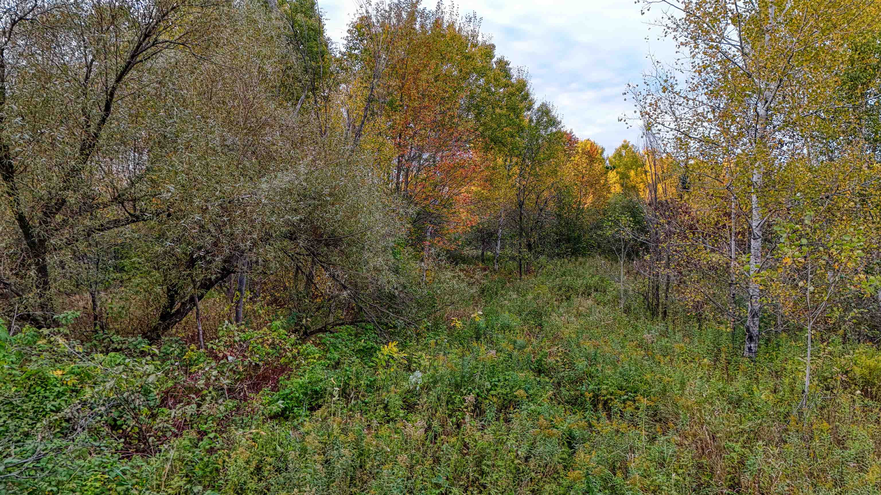 7469 East County Rd B South Range, WI 54874 - Photo 21 of 24 View of wooded area