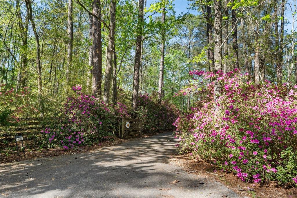 5908 Northwest 124th Street Gainesville, FL 32653 - Photo 8 of 26