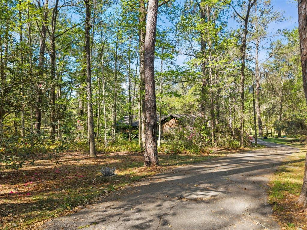 5908 Northwest 124th Street Gainesville, FL 32653 - Photo 10 of 26