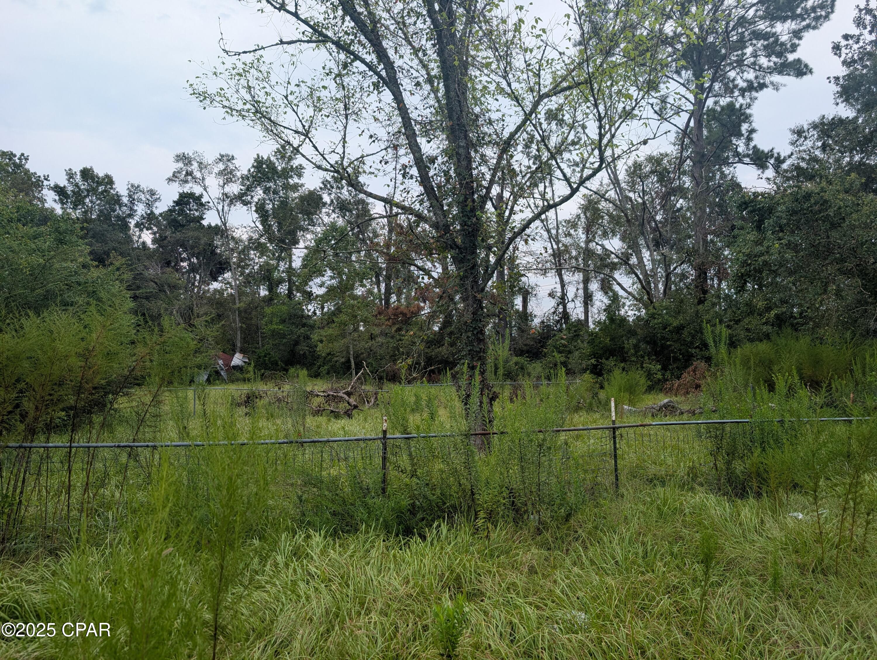 2899 Rob Forehand Road Bonifay, FL 32425 - Photo 6 of 21 Gallery Image 6