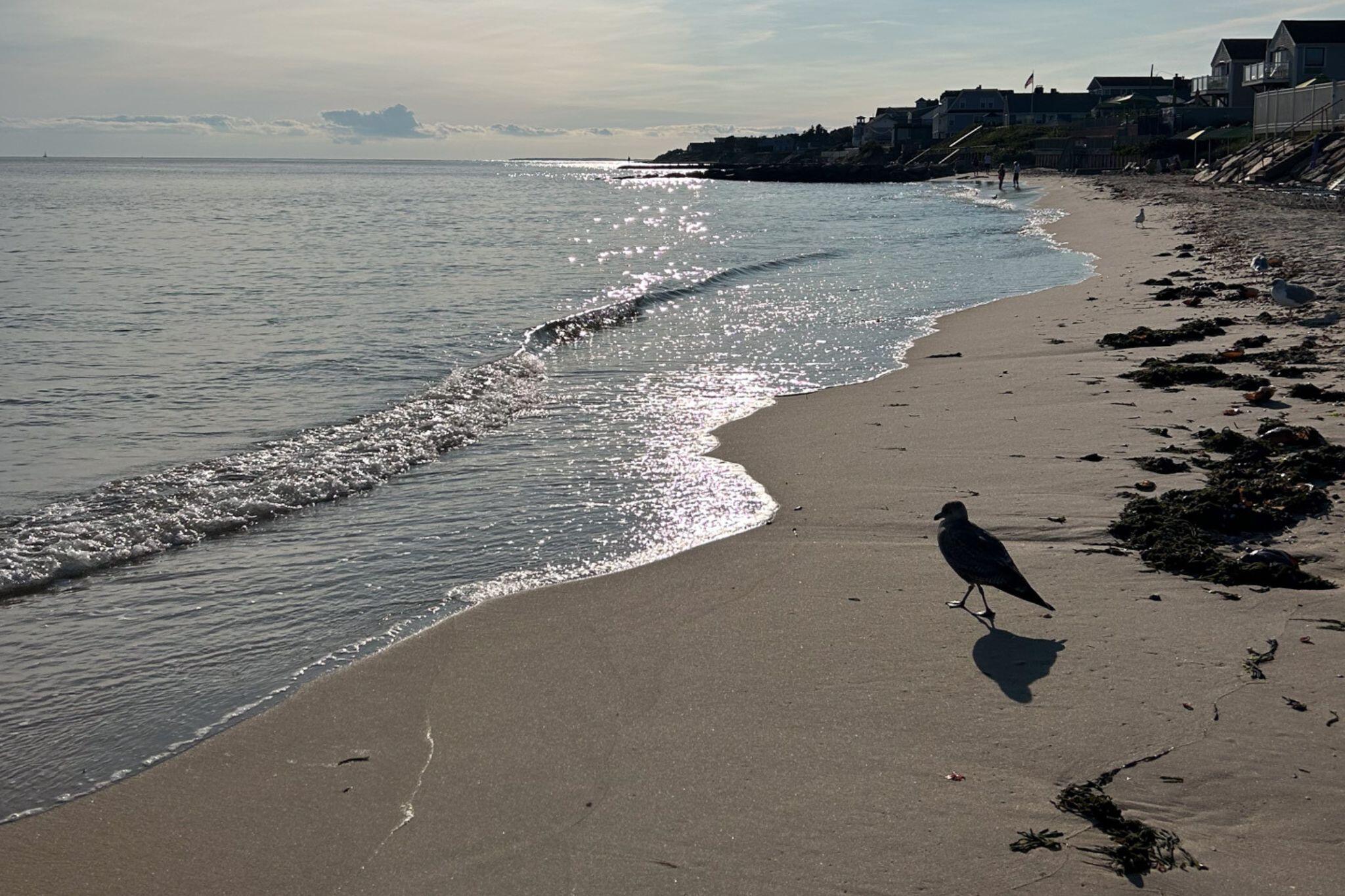 34 Pleasant Street, Unit 3 Dennis Port, MA 02639 - Photo 19 of 21 12