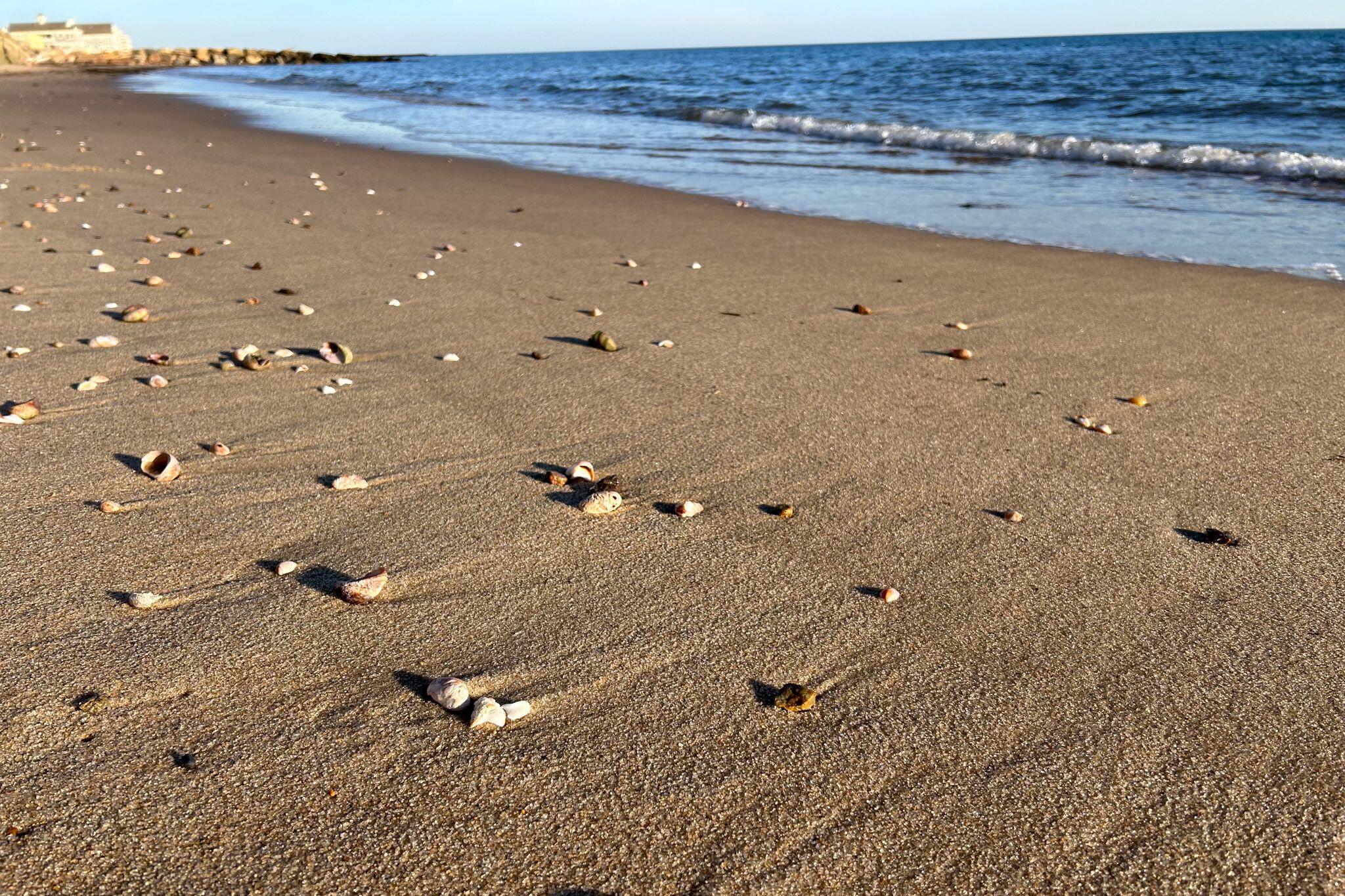 34 Pleasant Street, Unit 3 Dennis Port, MA 02639 - Photo 20 of 21 16