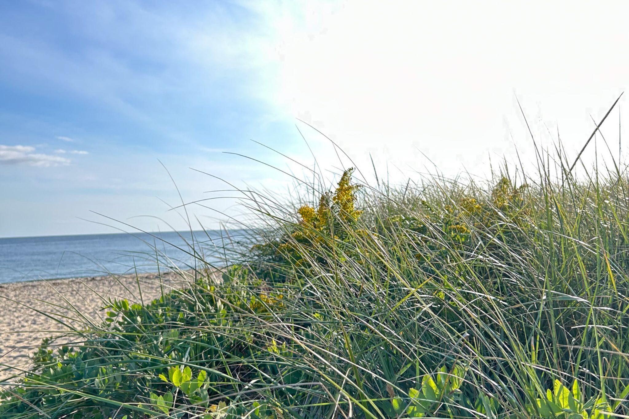 34 Pleasant Street, Unit 3 Dennis Port, MA 02639 - Photo 21 of 21 13