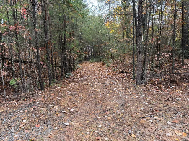 a big yard with lots of green space and trees